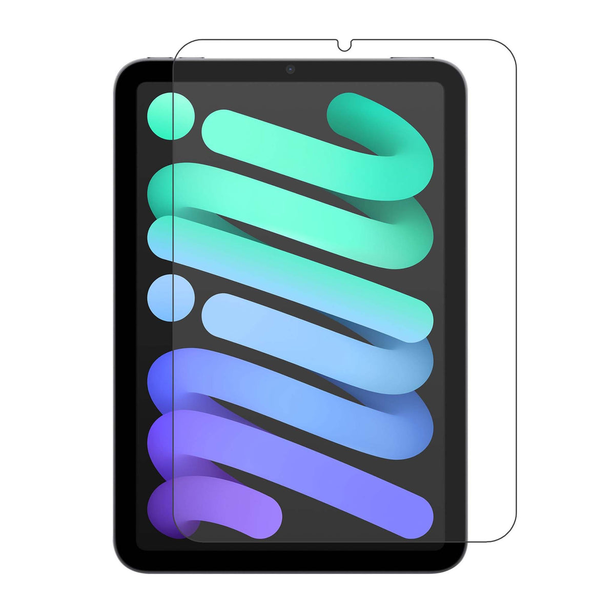 Apple iPad - Screen Shield